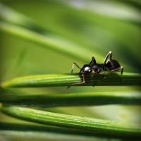 /album/loss59top/photolia-a05-jpg/