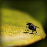 /album/loss59top/photolia-a07-jpg/